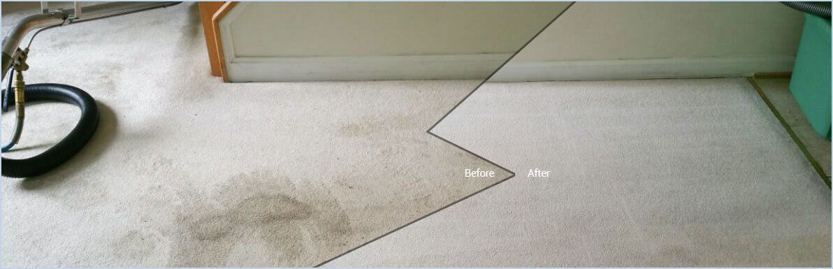 Carpet Stain Removal in Forest Oaks