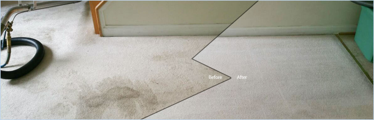 Carpet Stain Removal in Altea at Silverado