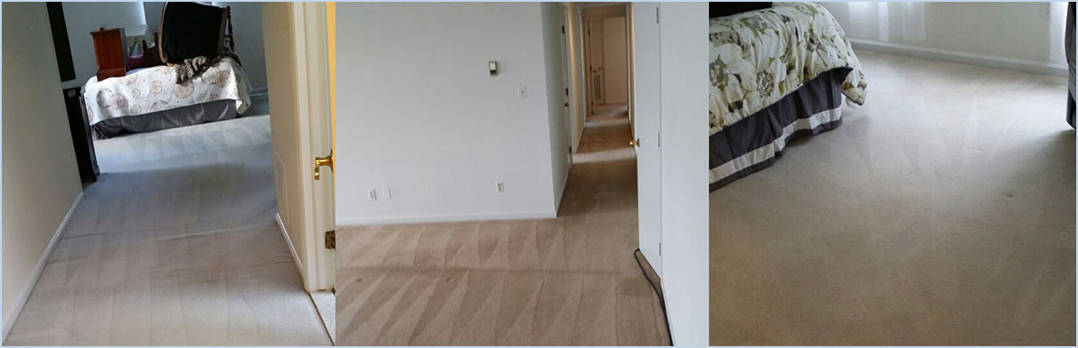 Wall To Wall Carpet Cleaning in RBC