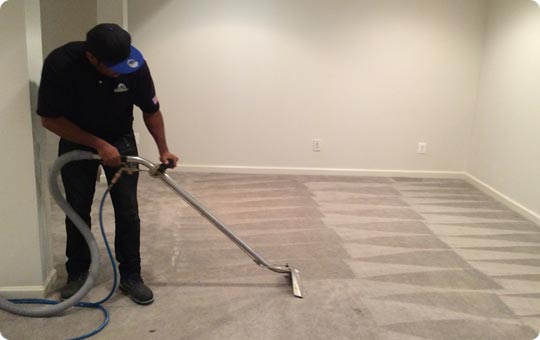 Carpet Stain Removal